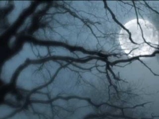Love Remembered - Wojciech Kilar (OST Dracula)