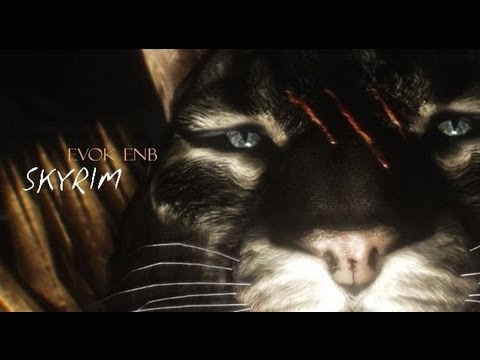 EVOK enb SKYRIM (