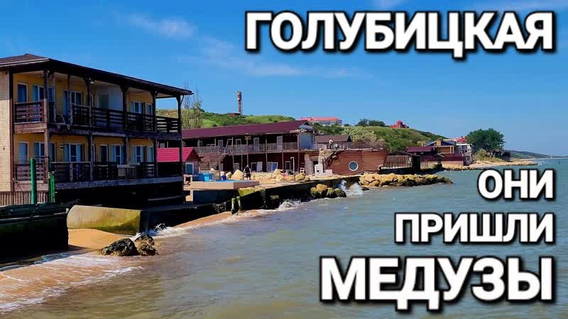 Медузы 2024 г. ,Голубицкая. Ул. Советская, Чайкинская, Свежий