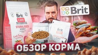 Новыи сухой корм Brit Care для кошек и собак | Обзор отечественного корма Брит Кеа
