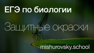 Маскировка, мимикрия, предостерегающая окраска  у кого и зачем | Биология ЕГЭ