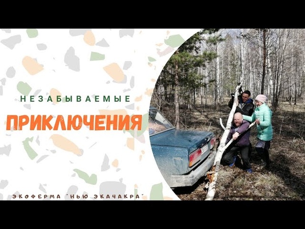 Незабываемые