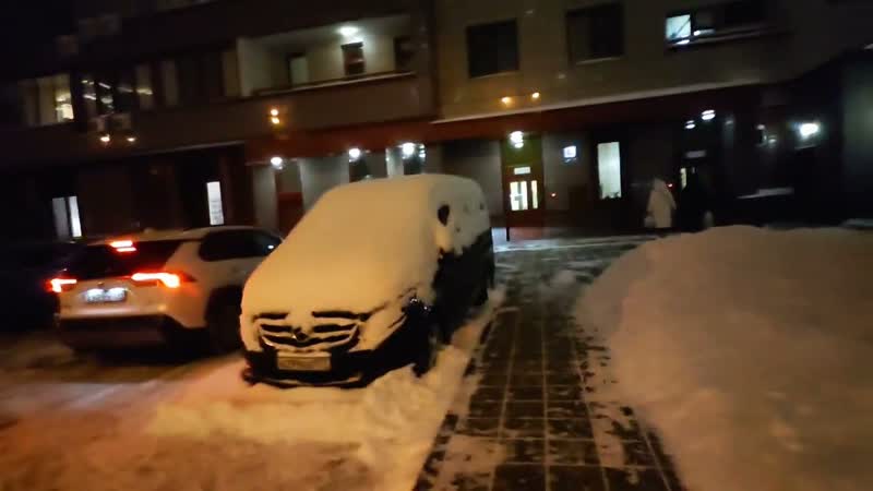 ЯНДЕКС ДОСТАВКА И СНЕГОПАД, БОНУС ДО