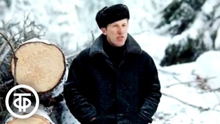 Кедр без леса не живет. Документальный фильм (1986)
