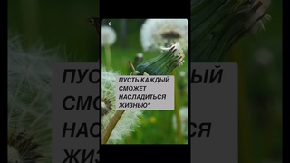Почему люди не летают, как птицы