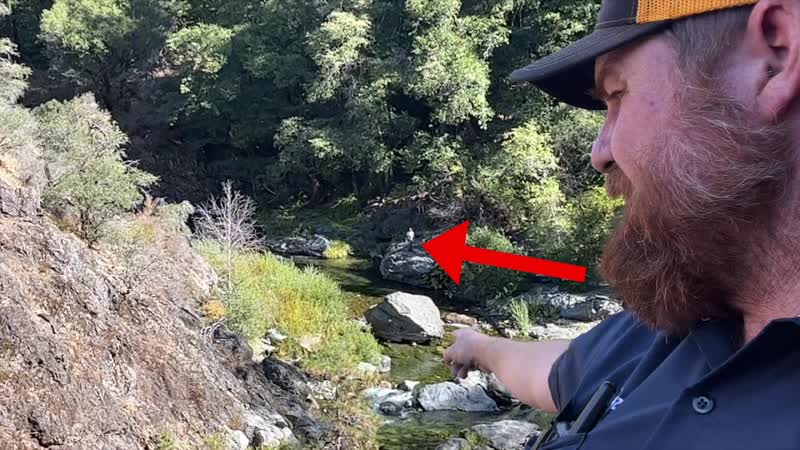 Were Searching For Eds Lost Gold Mine In The Sierra