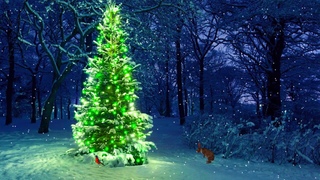 Новогодняя атмосфера🎄Исцеляющая музыка ❄️