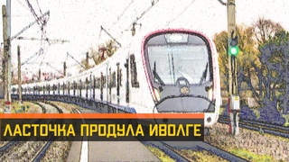 Ласточка продула Иволге