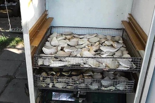 Сушилка для Грибов своими руками (Electric driers for mushrooms)