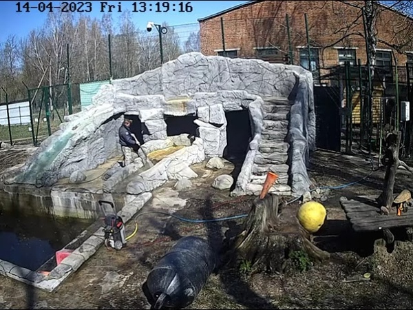 13:12 У Мансура субботник: моют грот, откачивают талую воду,