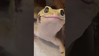 Доброе видео. Улыбка.