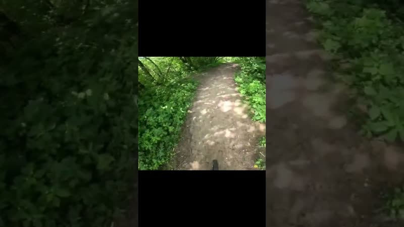 Bike Ride Park Walking, shorts Moscow Boohing no