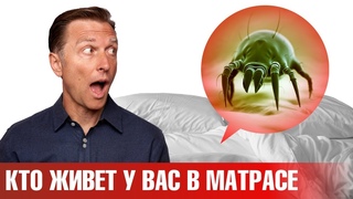 Миллионы клещей, клопов и другой живности обитает в вашем матрасе
