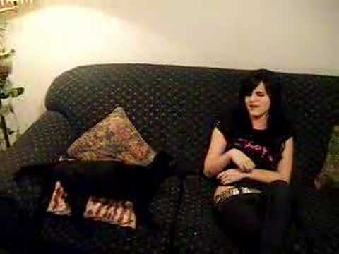 Amy Lee Cat