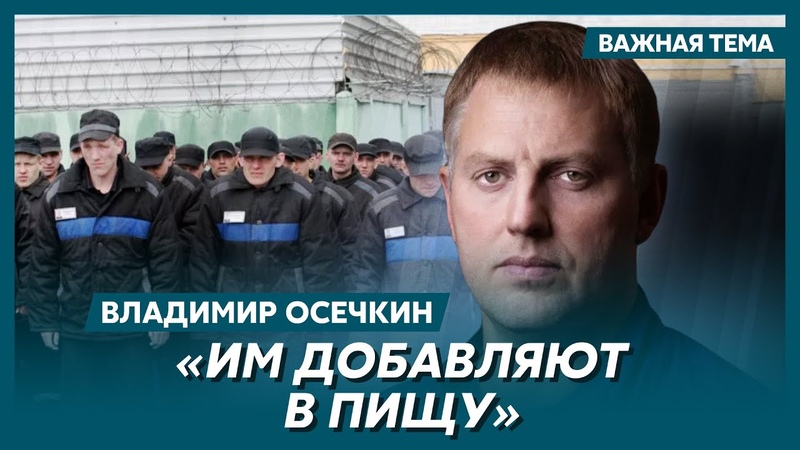 Осечкин о том, что дают русским зекам перед