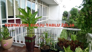 Tabla elja, kako je napraviti da deluje vrlo brzo