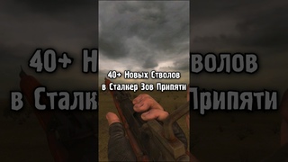 40+ Новых Стволов в Сталкер Зов Припяти