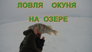 Ловля окуня на балансир