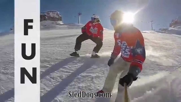 Sled Dogs Snowskates New sport on the