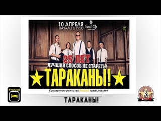 ТАРАКАНЫ|ВИДЕООТЧЁТ|Волгоград