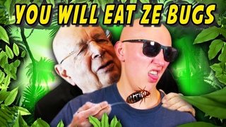 COMMENT ILS VONT NOUS FORCER À MANGER DES INSECTES