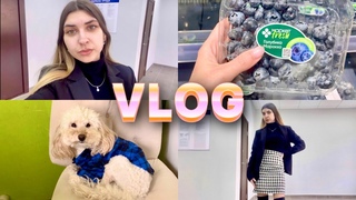 ВЛОГ: ГОТОВКА  ВРЕМЯ ФРУКТОВ  ЛЮБИМАЯ МОСКВА