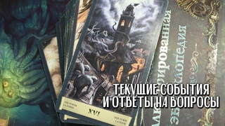 Текущие события и ответы на вопросы | Гой Гайа!