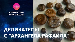 Деликатесы с “Архангела Рафаила“. Артефакты ЦПИ РГО. Роман Прохоров