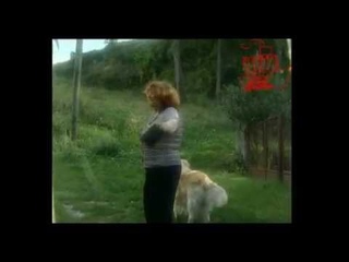Женитьба по итальянски