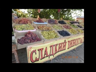 ПЕРЕПРИВИВКА КУСТА ВИНОГРАДА НА НОВЫЙ СОРТ.