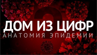 АНАТОМИЯ ЭПИДЕМИИ