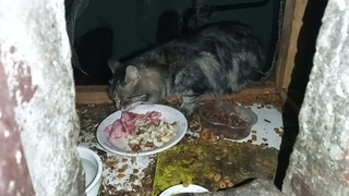 ужин бездомных