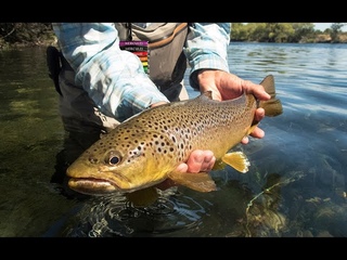 HERCULES Fly Fishing Line