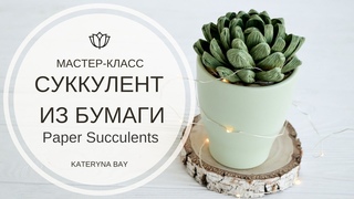 МАСТЕР-КЛАСС СУККУЛЕНТ ИЗ БУМАГИ / DIY Paper Succulents / How To Make Succulent From Crepe Paper