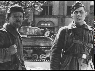 ПРОЖЕКТОР ШАРИТ ОСТОРОЖНО ПО ПРИГОРКУ | ПЕСНИ ВОЕННЫХ ЛЕТ | БЕЗСМЕРТНЫЙ ПОЛК