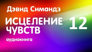 12. Дэвид Симандз - Исцеление чувств аудиокнига