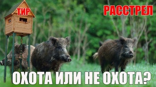 ПРО ОХОТУ С ВЫШЕК НА КАБАНА/ОБРАТНАЯ СТОРОНА