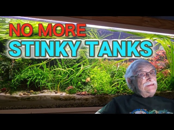 Does Your Clean Tank Smell