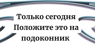Сегодня особенный день. Положите это на подоконник.