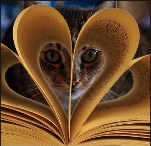 Даша Буздалина | Прокопьевск