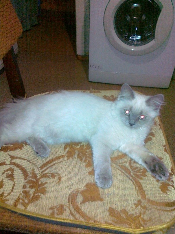 Ольга Малиновских | Казань