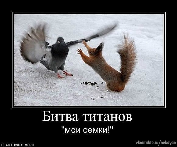 №84, Светлана Бурова, 49 лет №84, Светлана Бурова, 49 лет