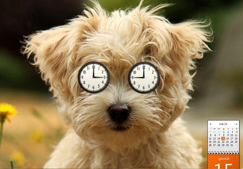 Прасковья Милова | Bruxelles