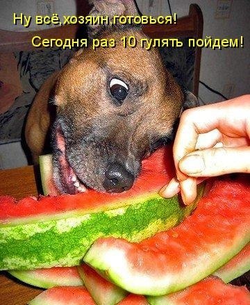 Ольга Бондаренко-Акиншина | Запорожье