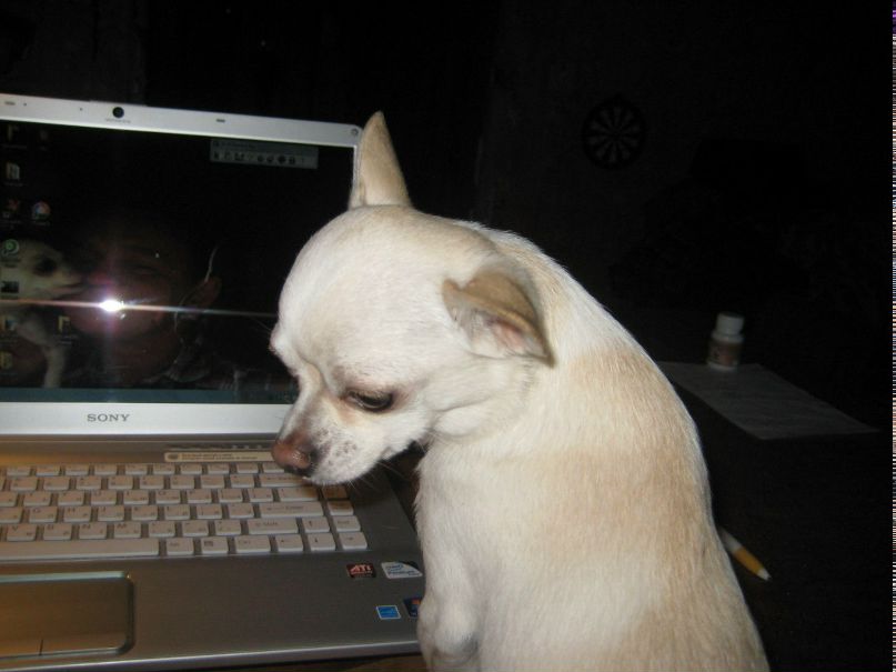 Дмитрий Некрасов | Санкт-Петербург