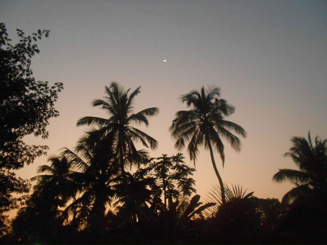 Яна Жукова | Тверь