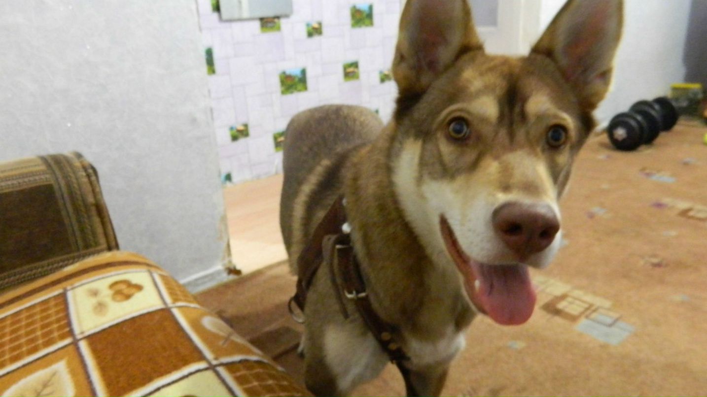 Денис Малышев | Челябинск