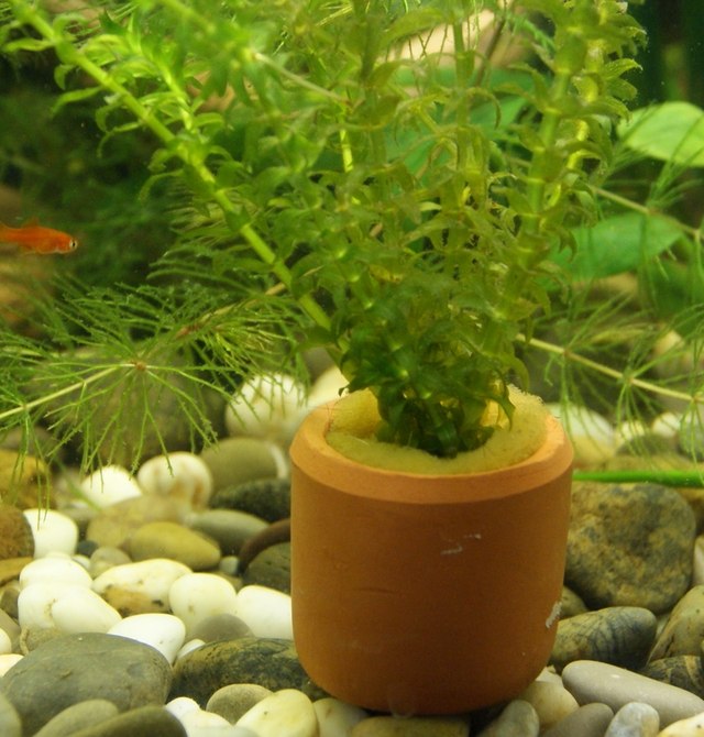 Василий Иванович | Казань