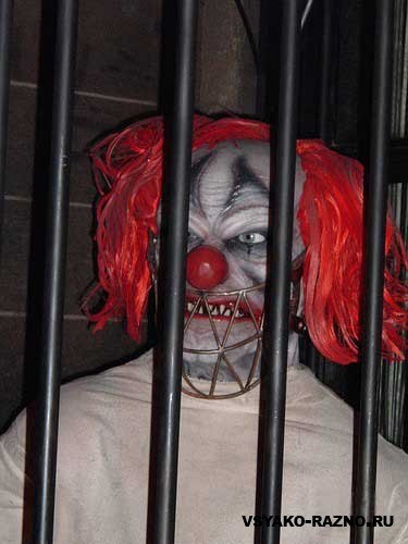 Максим Родькин | Красноярск