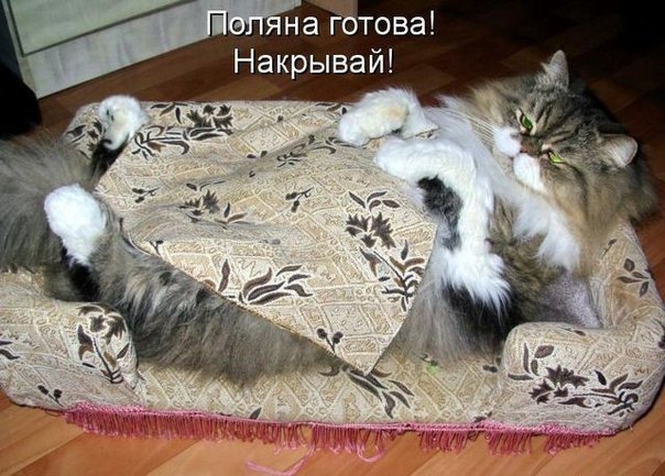 №103, Коля Пукалюк, Дубно №103, Коля Пукалюк, Дубно